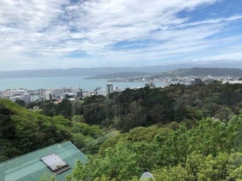 Image 1 of 11