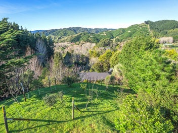 Where the Trees Whisper and Kapiti Smiles