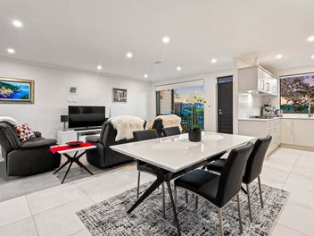 South Island Bound to Join Family – MUST SELL