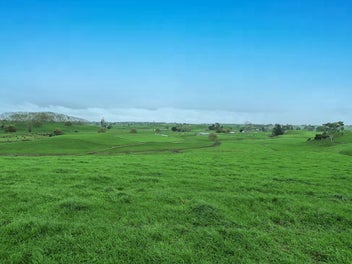 Image 1 of 14