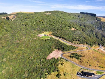 Panoramic Otago Peninsula Views
