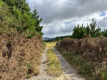 Image 1 of 9