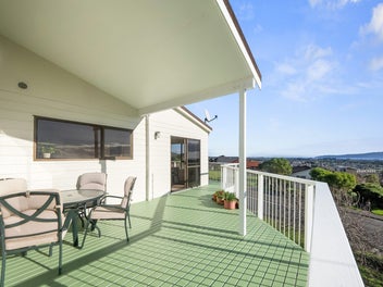 Panoramic Potential on the Hill