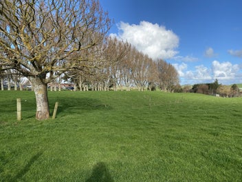 Image 1 of 7