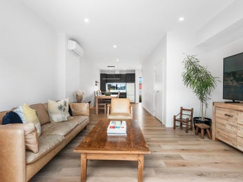 Supersized urban sanctuary