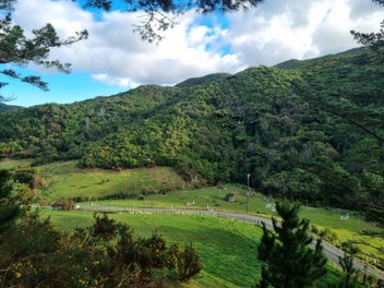 Lifestyle Section 2 Hectare- Rare Opportunity!