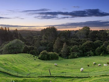 ENDLESS INCOME OPPORTUNITIES - 2 HOMES!!!