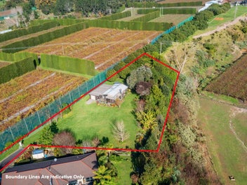 The Perfect Christmas Gift!