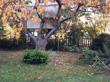 Image 1 of 10