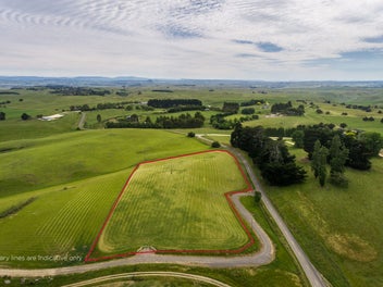 The House of Sunshine