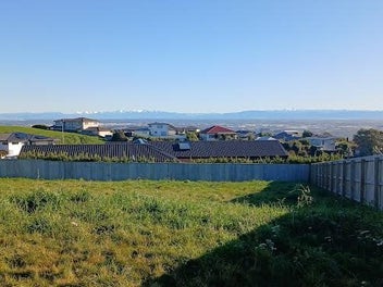 section