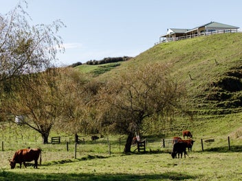 Tranquil country living with modern comfort awaits