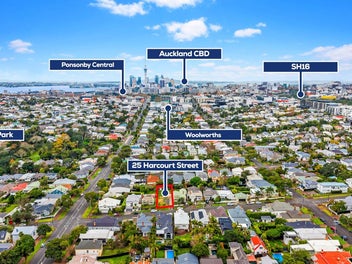 Grey Lynn Gold - MUST BE SOLD!
