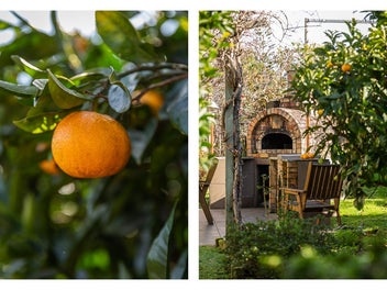 Solar-Powered, Gardens Everywhere, and So Charming