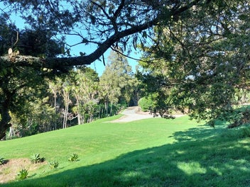 Park-Like Paradise