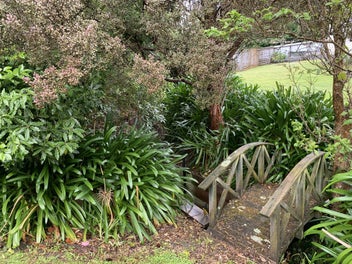 Image 1 of 11