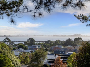 Now Selling - Rare Land in Mt Pleasant!