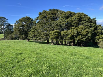 Surplus to Requirements - Prime 36ha Lifestyle