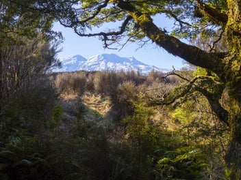 The Ultimate Dream Escape In Ohakune