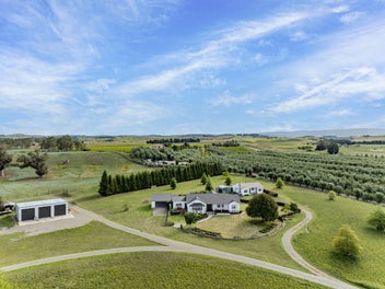 Action Wanted, Time to Make Your Move