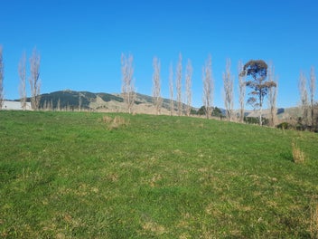 Lifestyle section - No Covenants