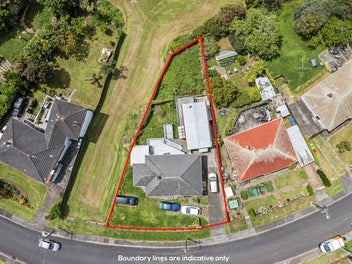 Panmure Potential: Elevate, Expand, Evolve