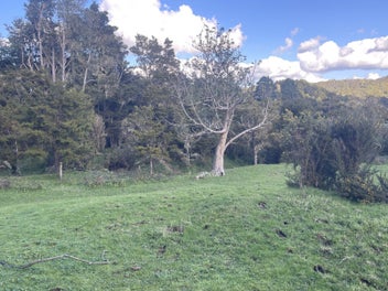 Private slice of paradise on Horeke Road