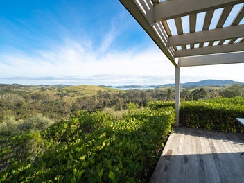 Panoramic Views from Puketiti