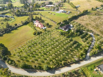 Panoramic Views from Puketiti