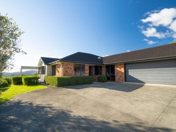 Panoramic Views from Puketiti