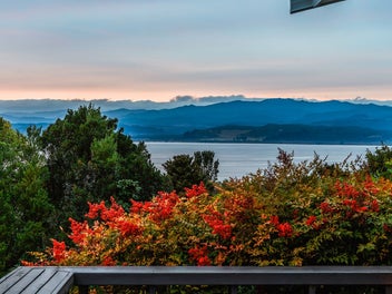 Lake Views - And Vendors Say Lets 'MOVE'!