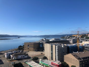 Image 1 of 17