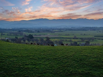 Wairarapa's Finest Lifestyle Section