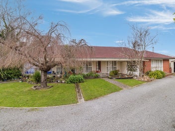 Prime Investment Opportunity or Land Bank