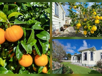 Quality Kauri Villa Lifestyle