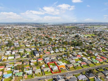 Renovate, Landbank or Develop