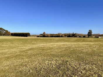 Opportunity Knocks - Makarewa!