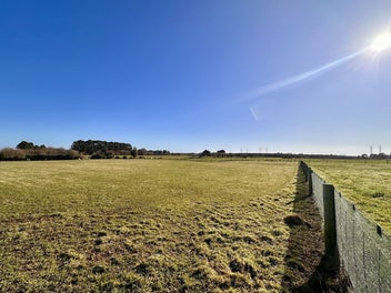 Opportunity Knocks - Makarewa!