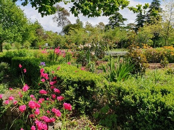 The Complete Family Haven