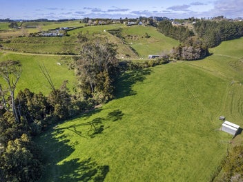 Shedtastic premium lifestyle