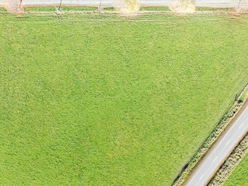 Bareland for Sale - Tapanui Township