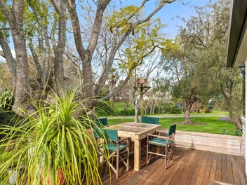 Whispering Trees and Birdsong in Willow Drive