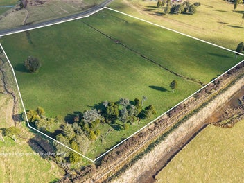 Reach Out And Touch It!