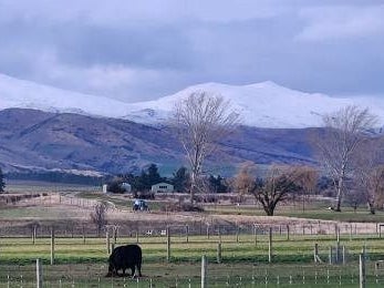 Stone & Story: Central Otago Heritage