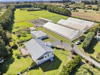 Lifestyle with Thriving Greenhouse Business