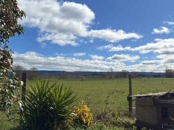 A Rare Find in the Heart of Galatea