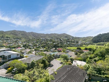 Image 1 of 17