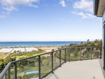 The Hawkes Bay dream, genuinely offered