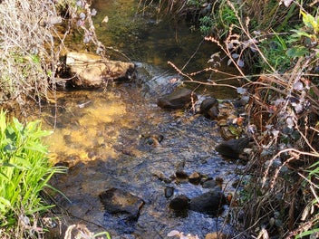 A Stream on the Boundary