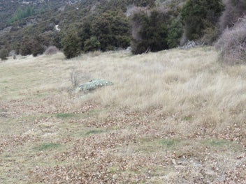 Affordable lifestyle Opportunity 5.4334 ha